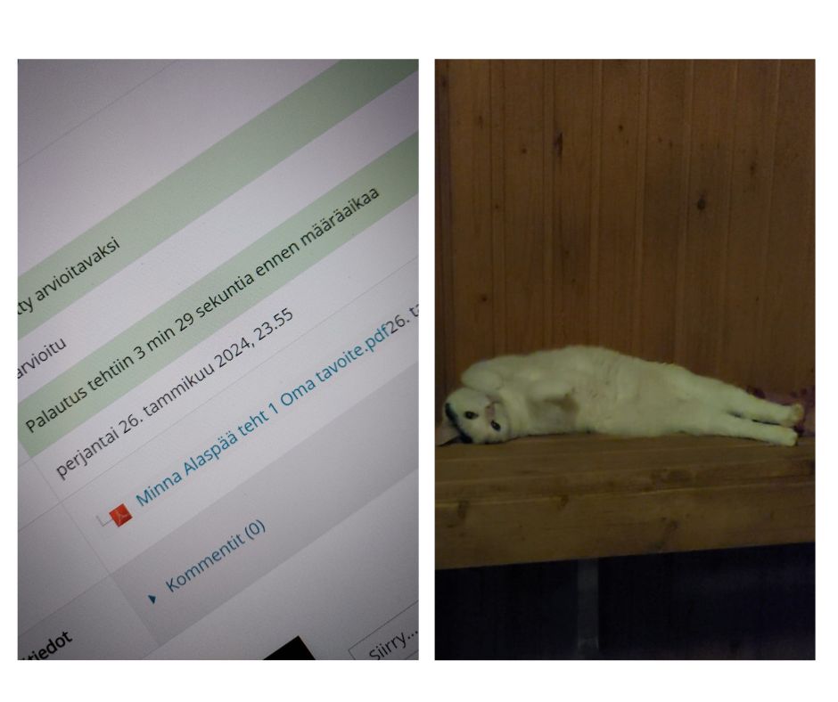 Kuvaparin toisessa kuvassa näkyy, kuinka palautin koulutyöni vain hetkeä ennen deadlinea, ja toisessa valkoinen kissa on saunan ylimmällä lauteella.